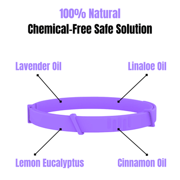 Anti Flea & Tick Calming Dog Collar