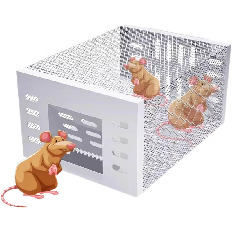 Animal-friendly mouse trap
