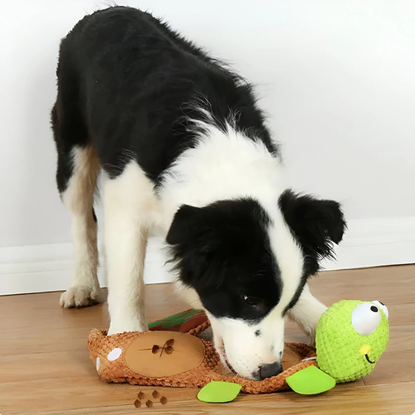 TurtleTreat - Cuddly Toy & Treat Stash