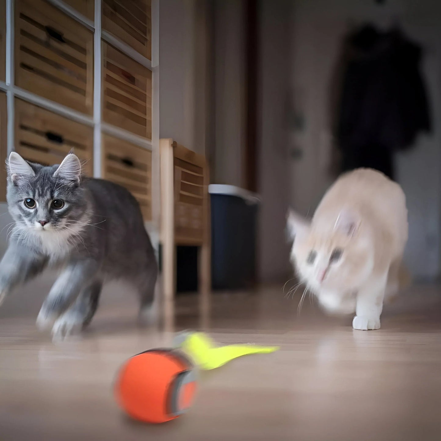 HuntBall - Rolling Cat Toy with Feather