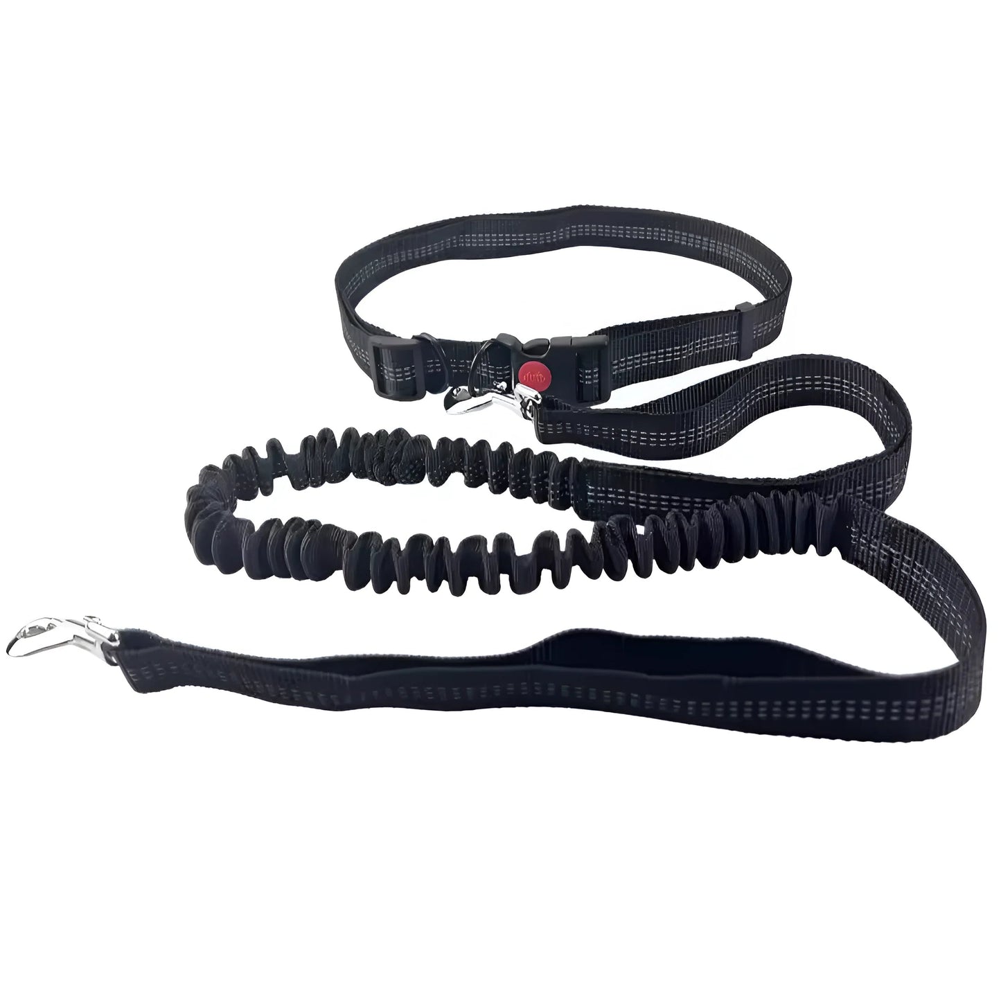 Hands-Free Dog Walking Leash
