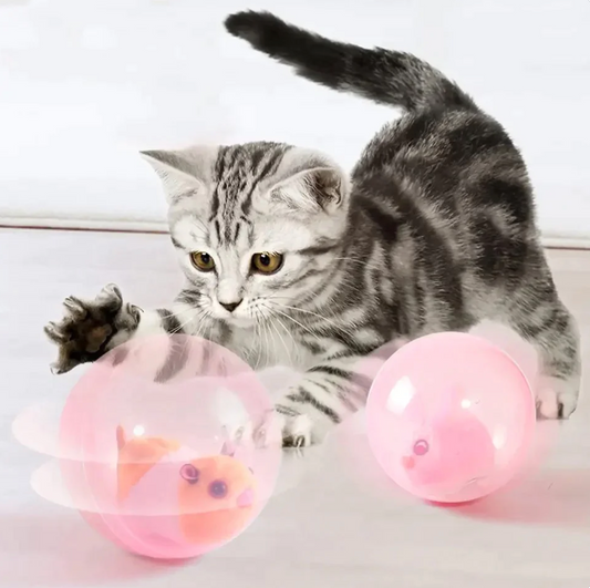 Rolling Animal - Interactive Cat Ball