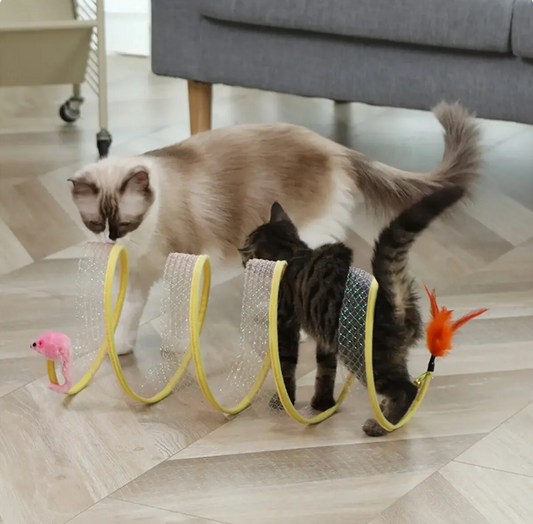 Cat Hunting Spiral Tunnel