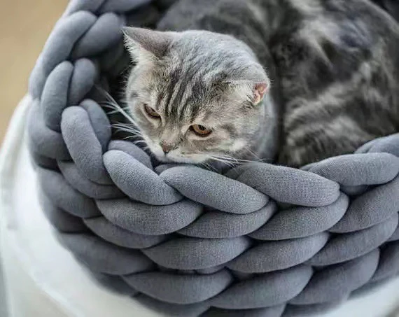 Cozy Cat Basket
