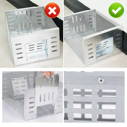 Animal-friendly mouse trap