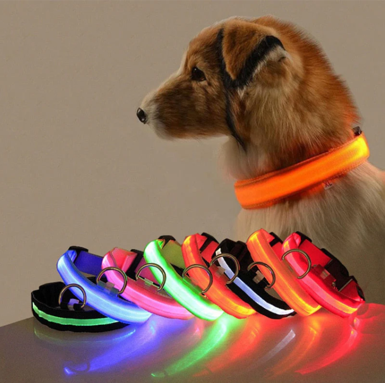 Dog LED Collar