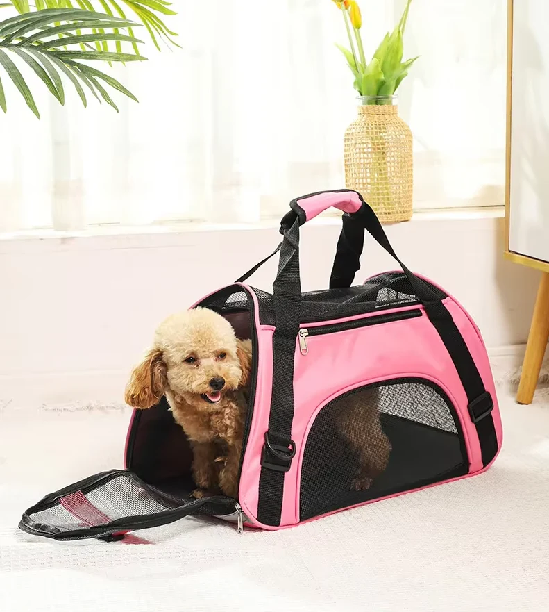 Foldable & Breathable Pet Carrier