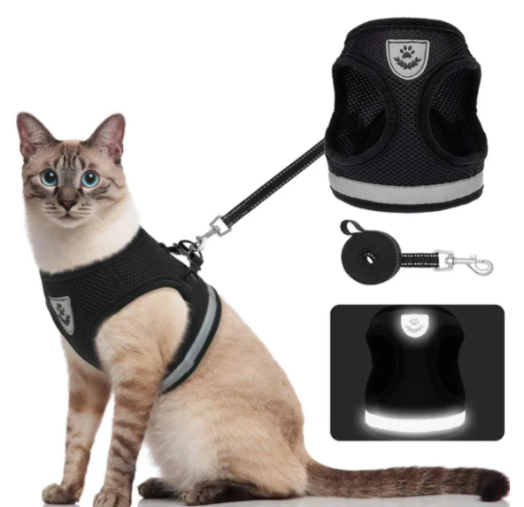Breathable Cat Harness with Leash
