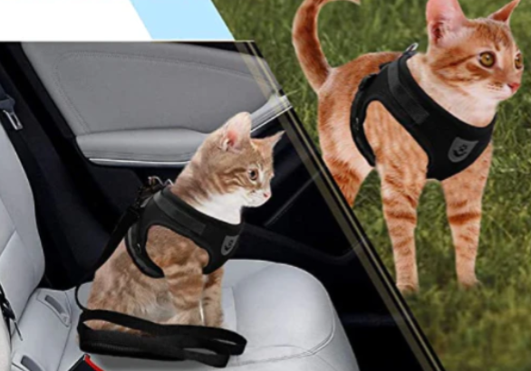 Breathable Cat Harness with Leash
