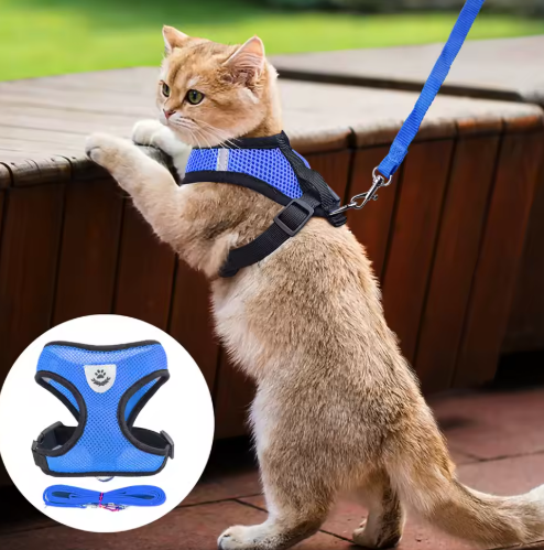 Breathable Cat Harness with Leash
