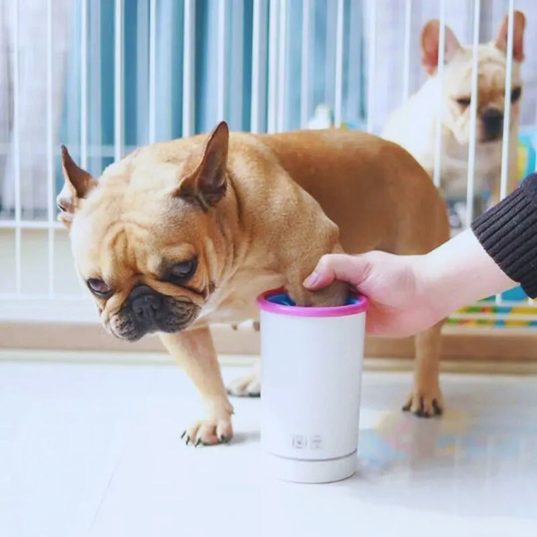 Electric USB paw cleaner
