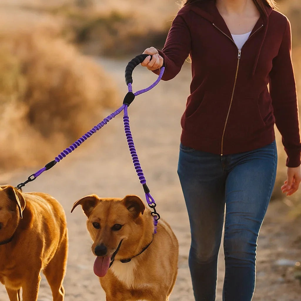Anti-Knot Double Dog Leash