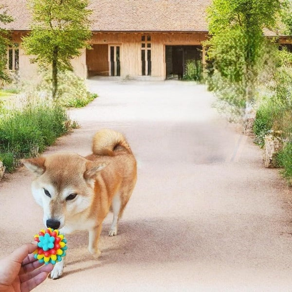 Robust Rubber Chew Ball for Dogs