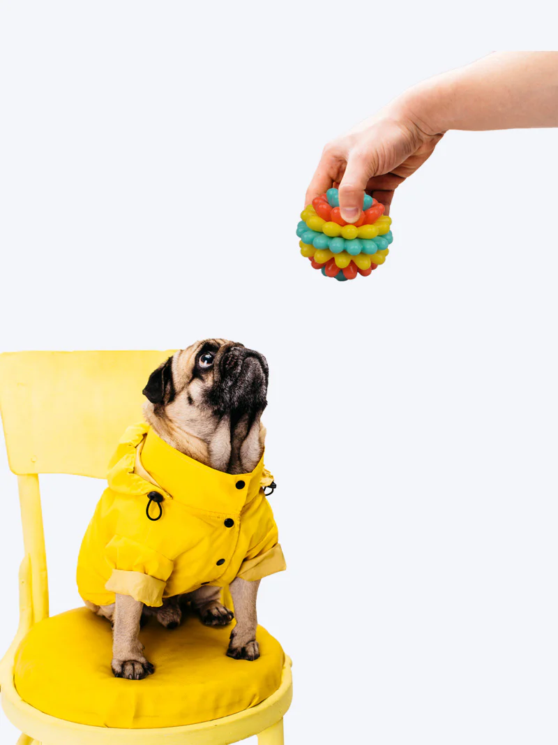 Robust Rubber Chew Ball for Dogs