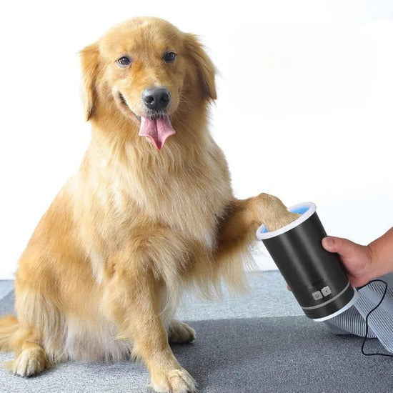 Electric USB paw cleaner