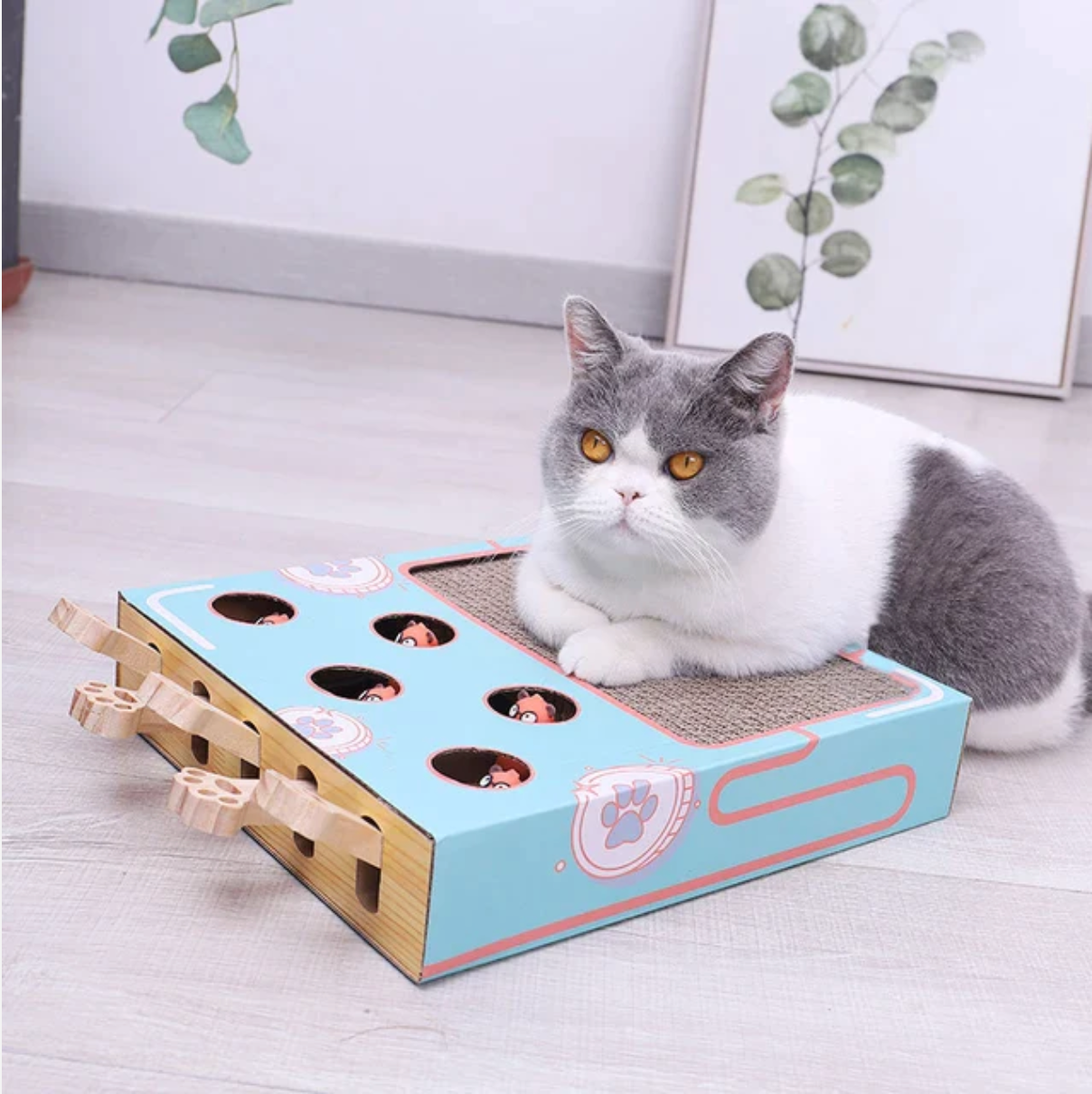 3-in-1 Cat Box Game
