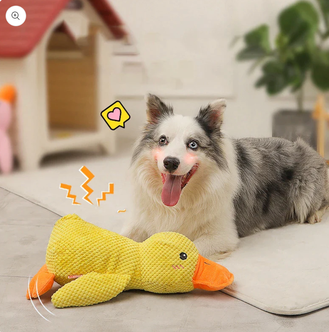 Quack-Quack Dog Duck Toy – PawfectBuddies
