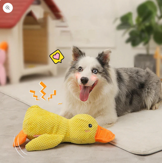 Quack-Quack Dog Duck Toy
