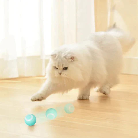 CatRoll - Interactive Cat Ball Toy