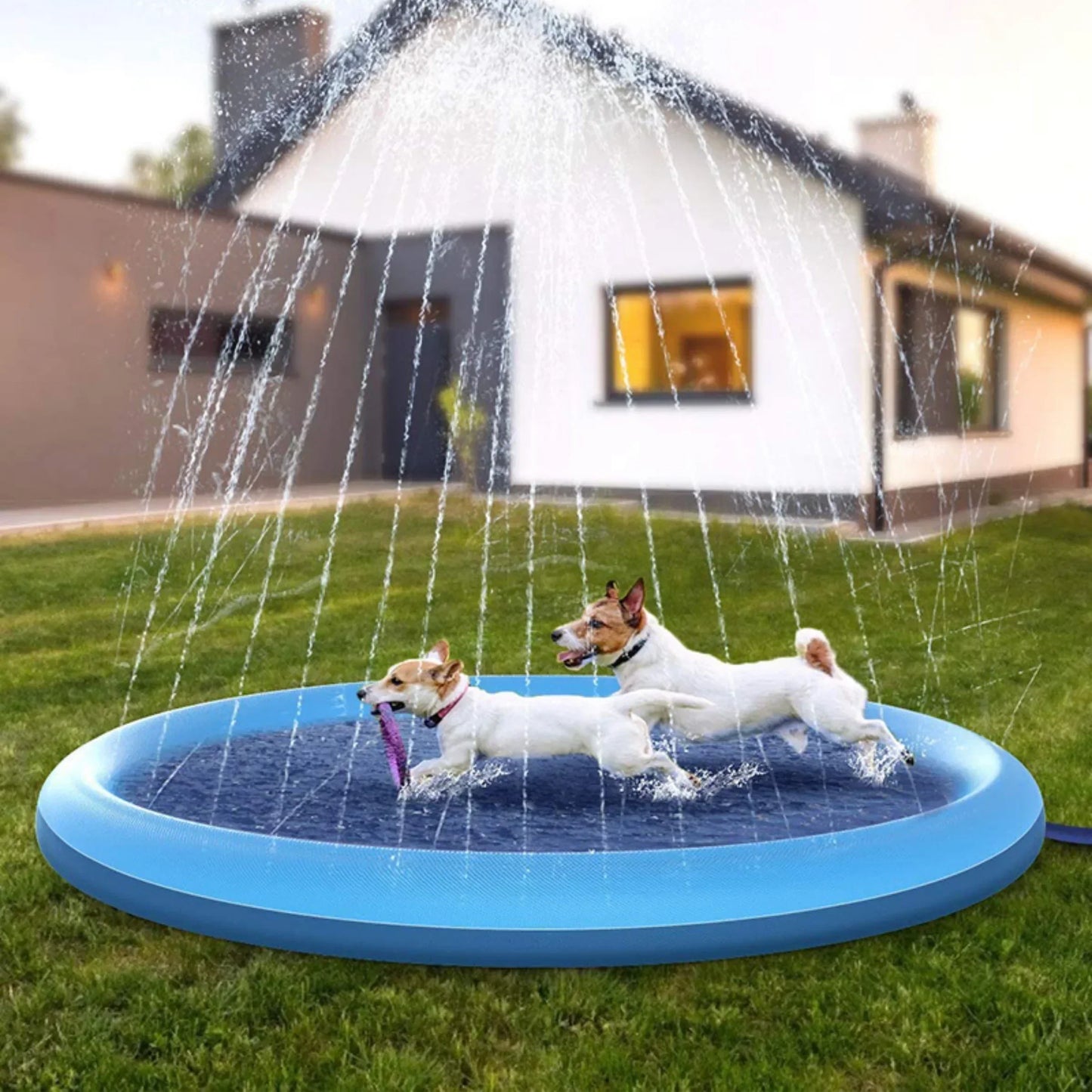 DogSplash - Refreshing Dog Sprinkler
