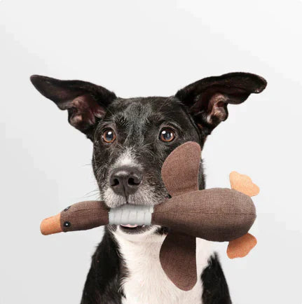 RobustGoose - Dog Chewing Toy