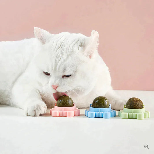 SnackBall - Cat Mint Lick Ball