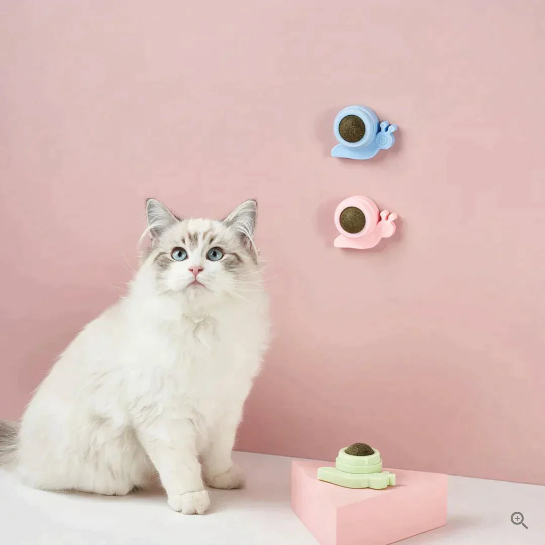 SnackBall - Cat Mint Lick Ball