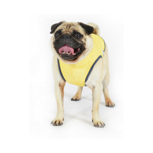 Dog Cooling Vest