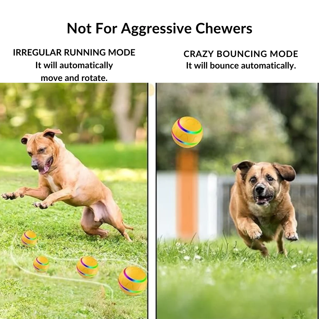 Active Ball With Remote Control