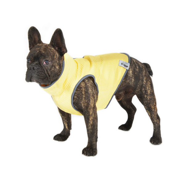 Dog Cooling Vest