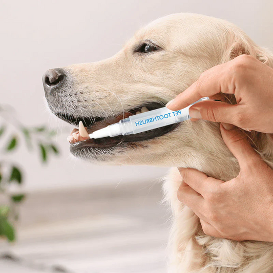PawFresh Pen - Dental CarePro