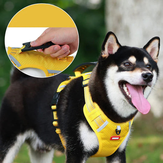 Premium Reflective Comfort Dog Harness