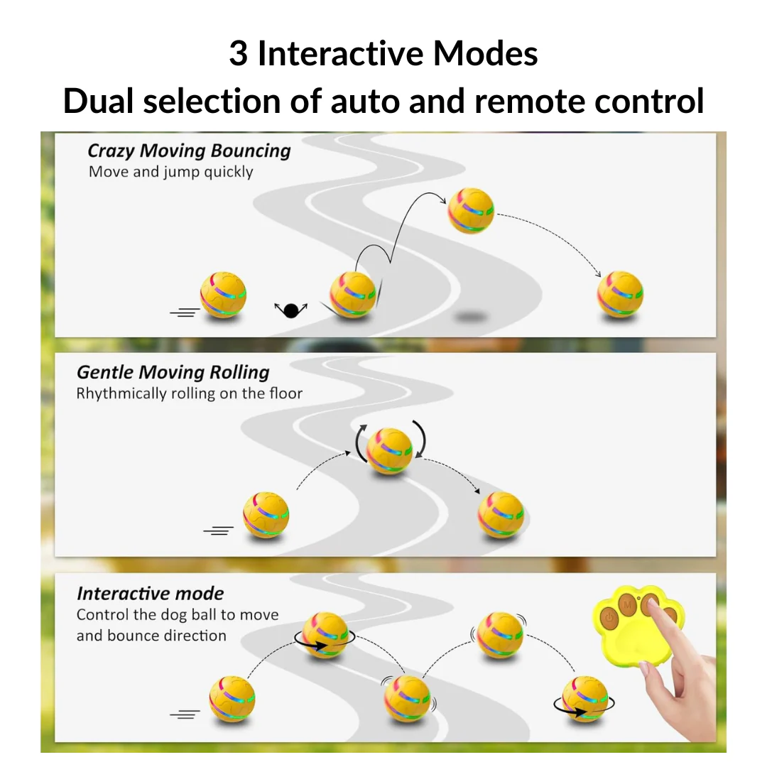 Active Ball With Remote Control