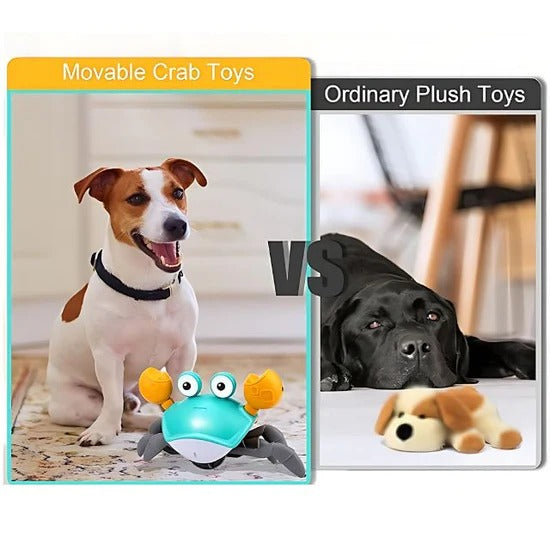 Interactive crab toy for dogs