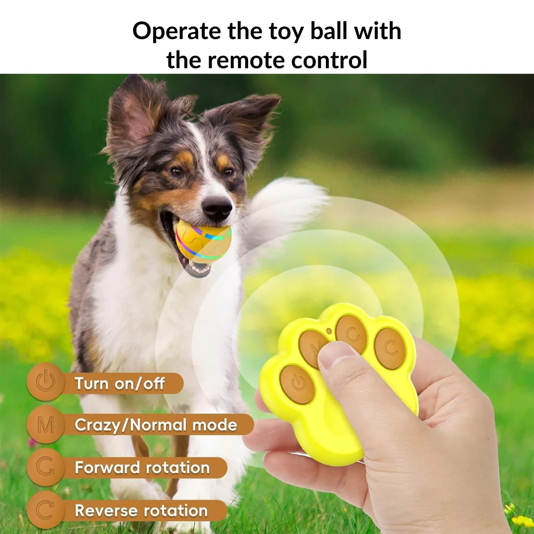 Active Ball With Remote Control