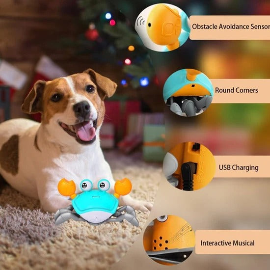 Interactive crab toy for dogs