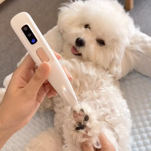 Pet Paw Trimmer