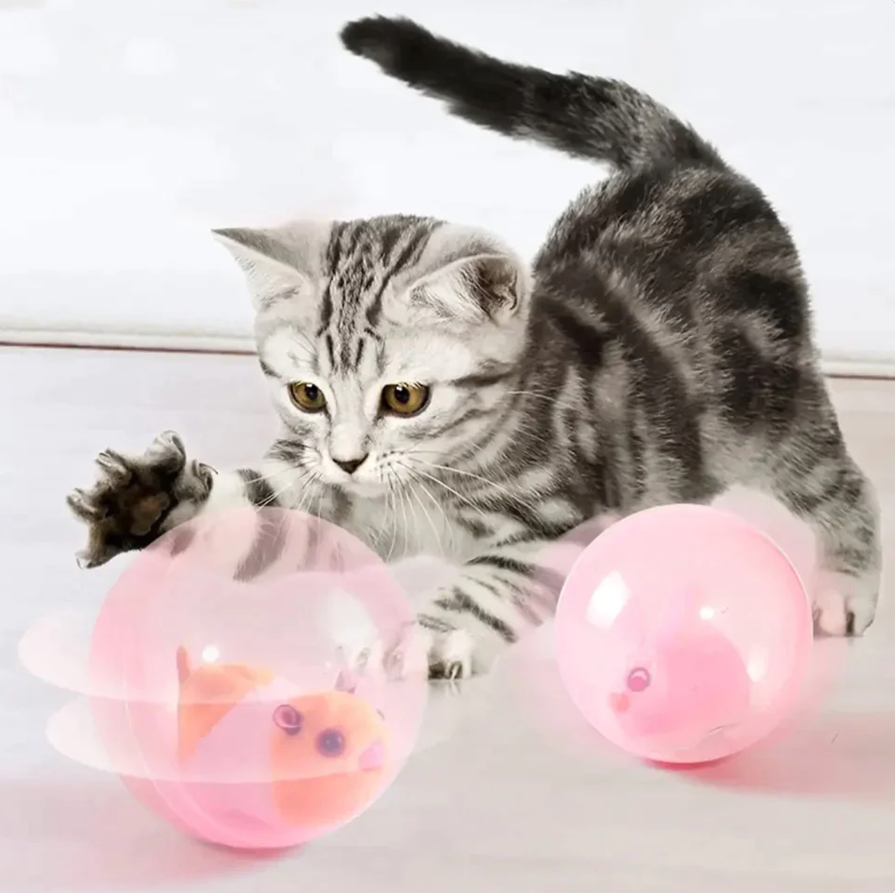 Rabbit Roling Cat Rolling Animal - Interactive Cat Ball – PawfectBuddies
