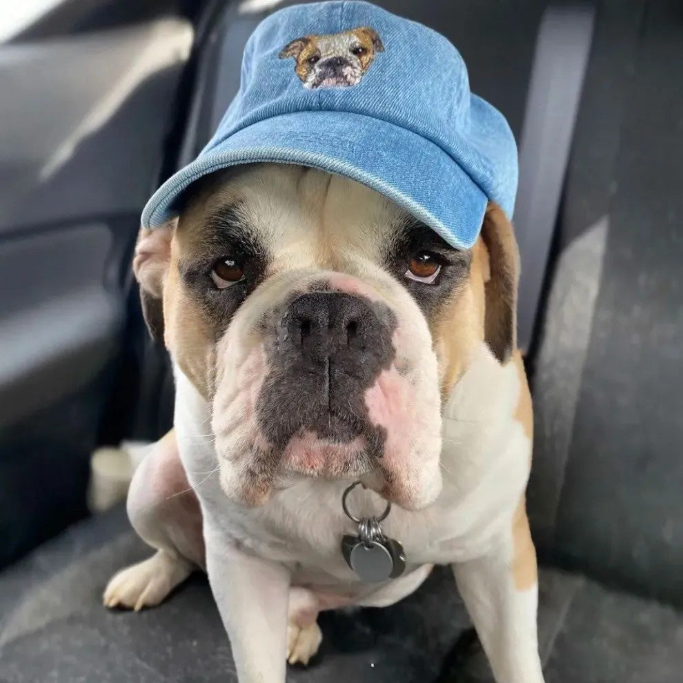 PetPawfect Cap – Personalized Pet Portrait Hat