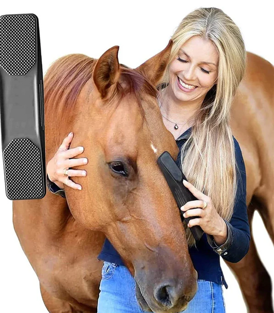 Horse Coat Care Brush