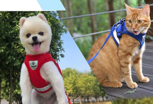 Breathable Cat Harness with Leash