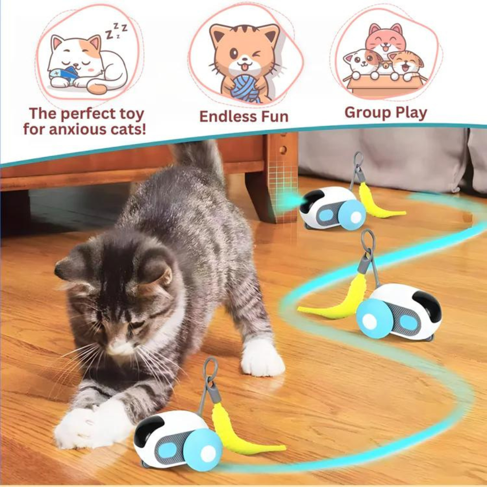 Catchy - Remote-Controlled Catching Toy