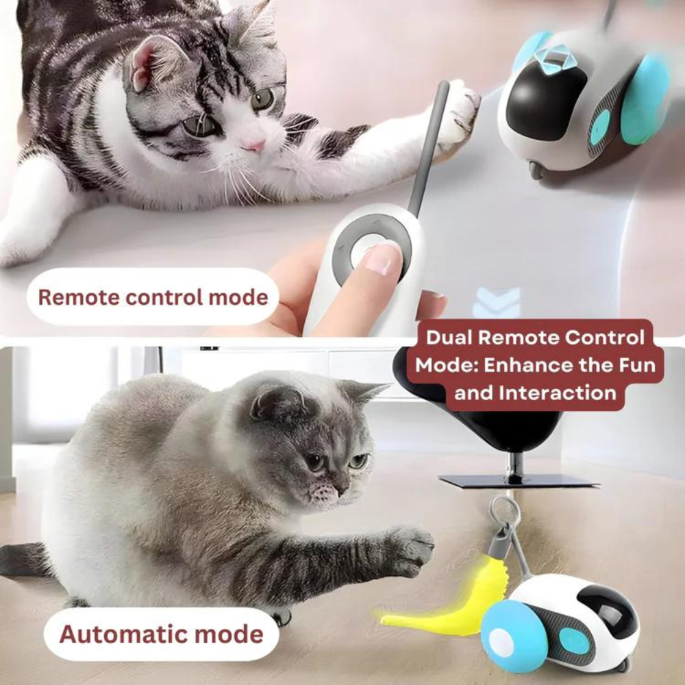 Catchy - Remote-Controlled Catching Toy