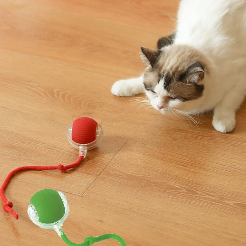 Interactive Cat Toy With Tail