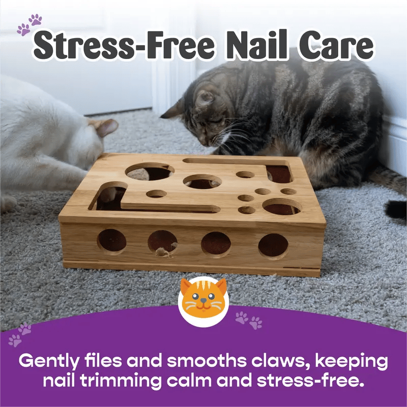 Purr-Puzzle Scratch Box