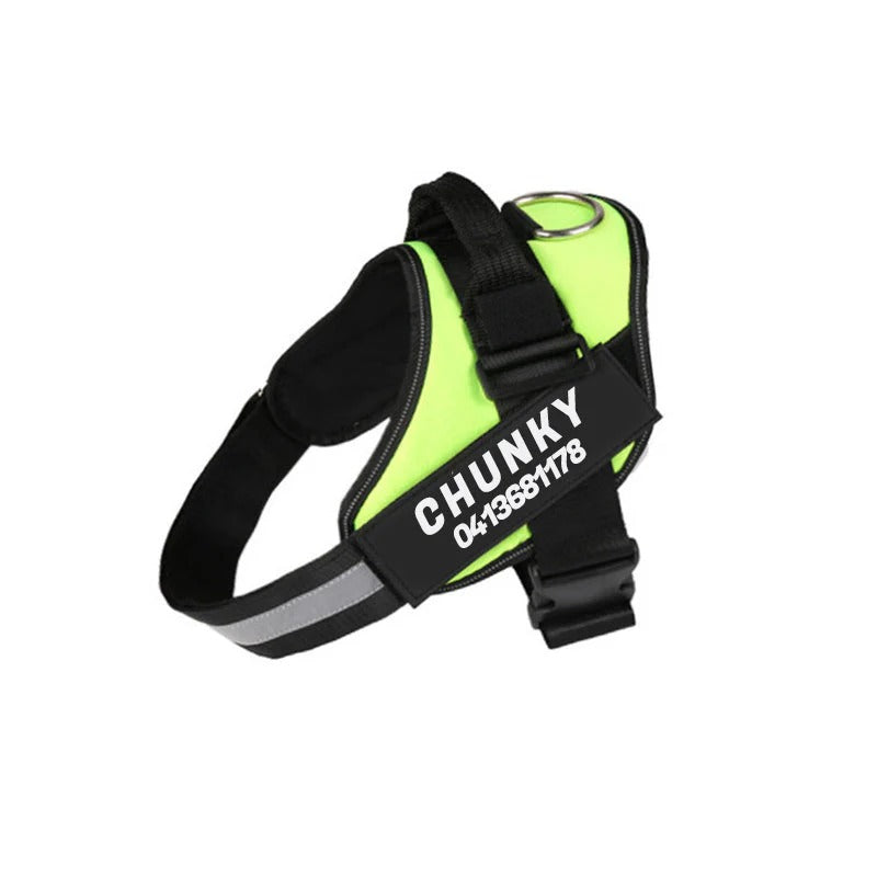 Personalized Dog Harness