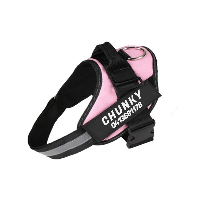 Personalized Dog Harness