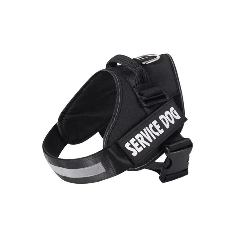 Personalized Dog Harness