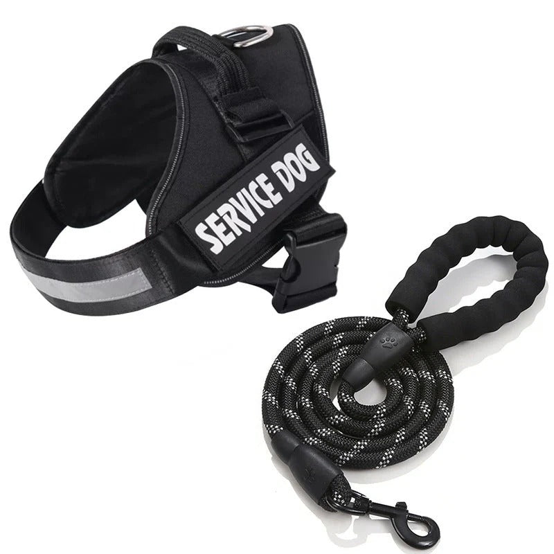 Personalized Dog Harness