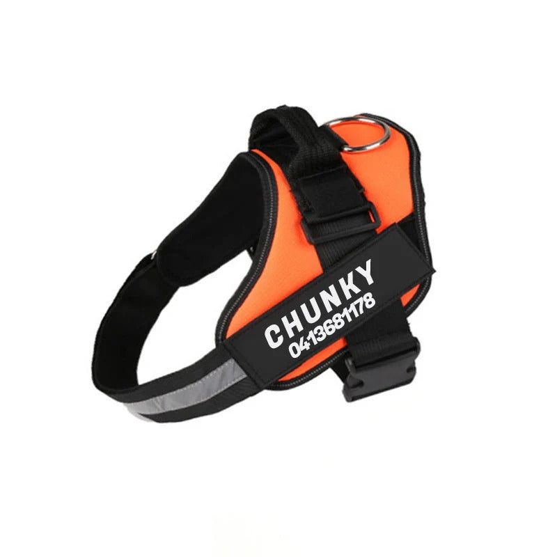 Personalized Dog Harness